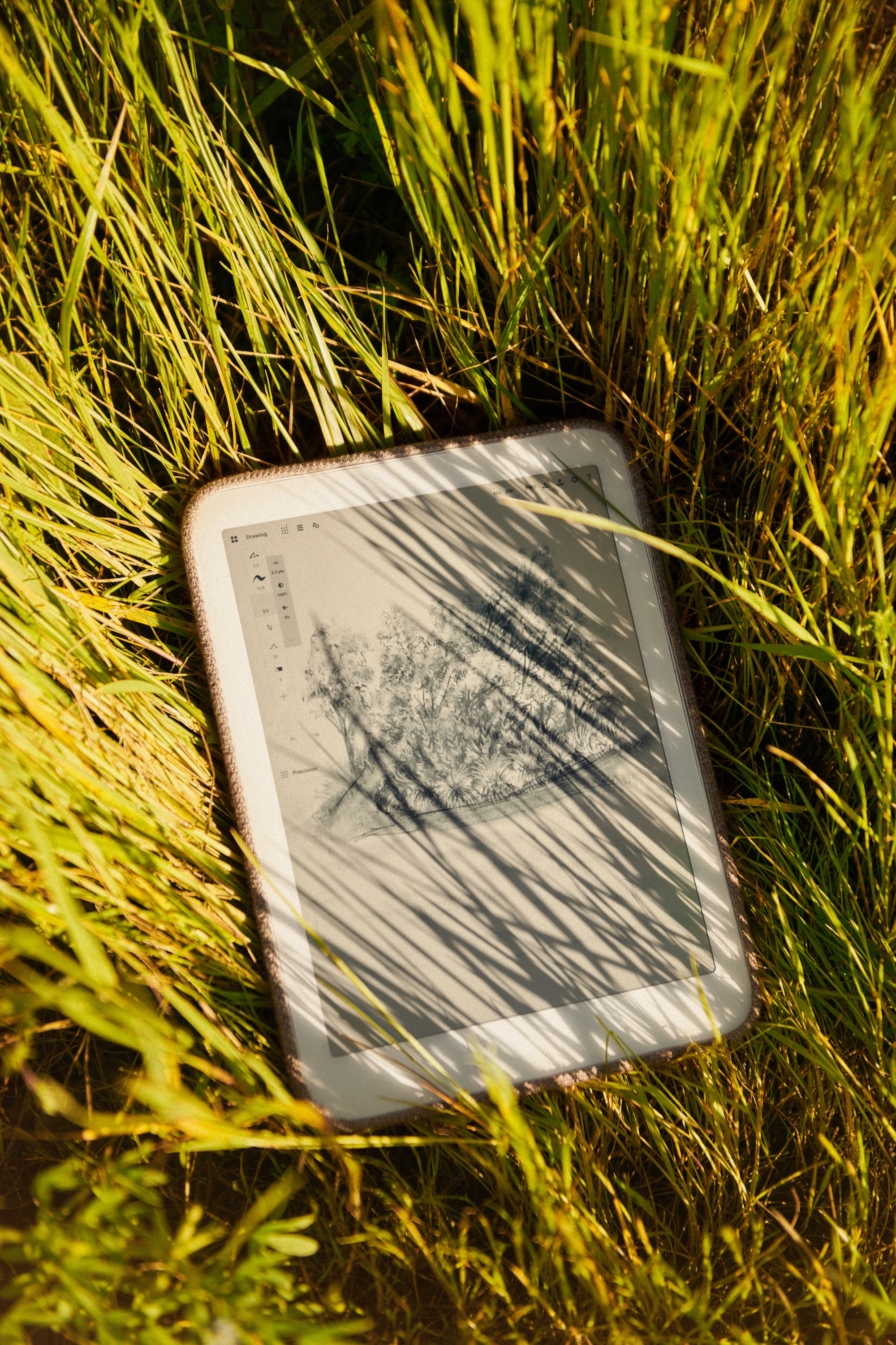 A Daylight Computer outdoors on grass